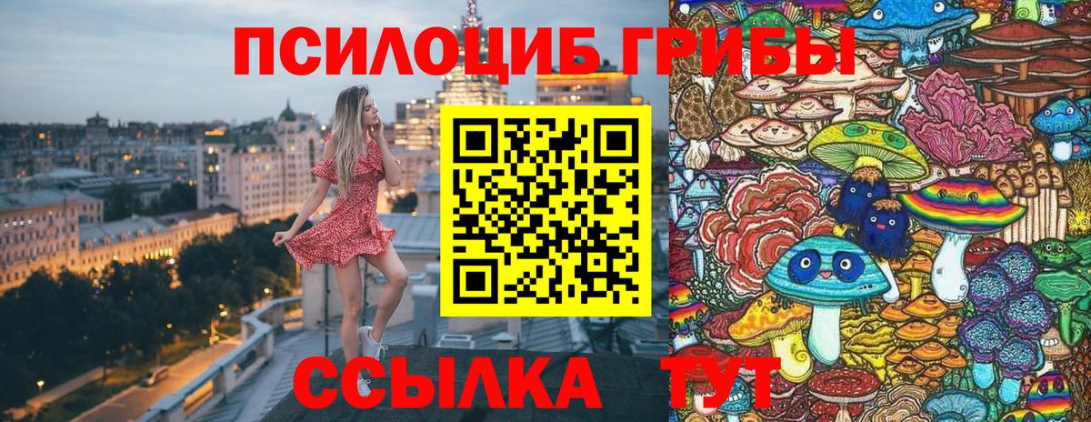 Галлюциногенные грибы Psilocybine cubensis Мурманск